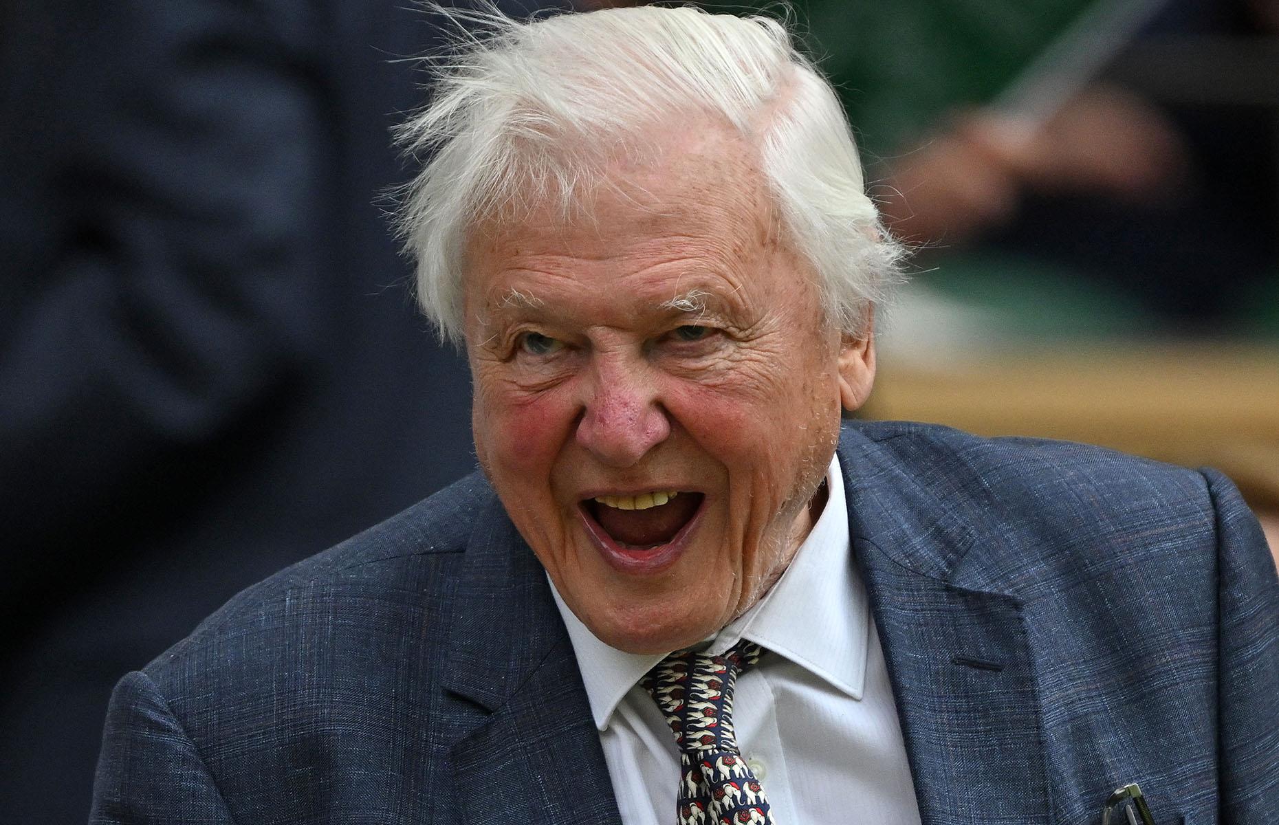 Sir David Attenborough, 98